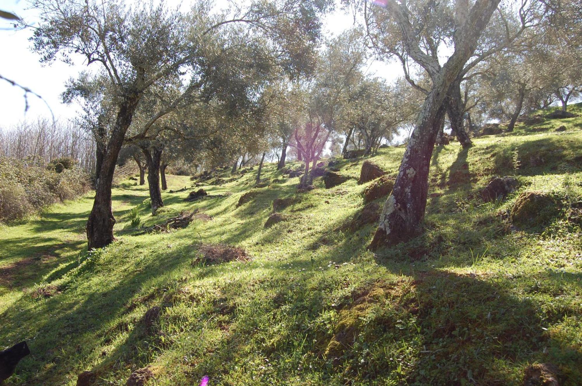 Los Pozos De La Nieve Constantina Eksteriør bilde
